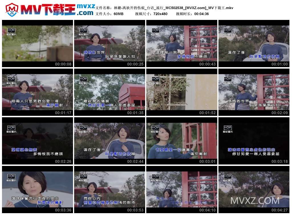 林姗-离袂开的伤痕_台语_流行_MC502538